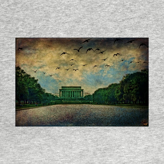 The Lincoln Memorial, Washington D.C. by Chris Lord